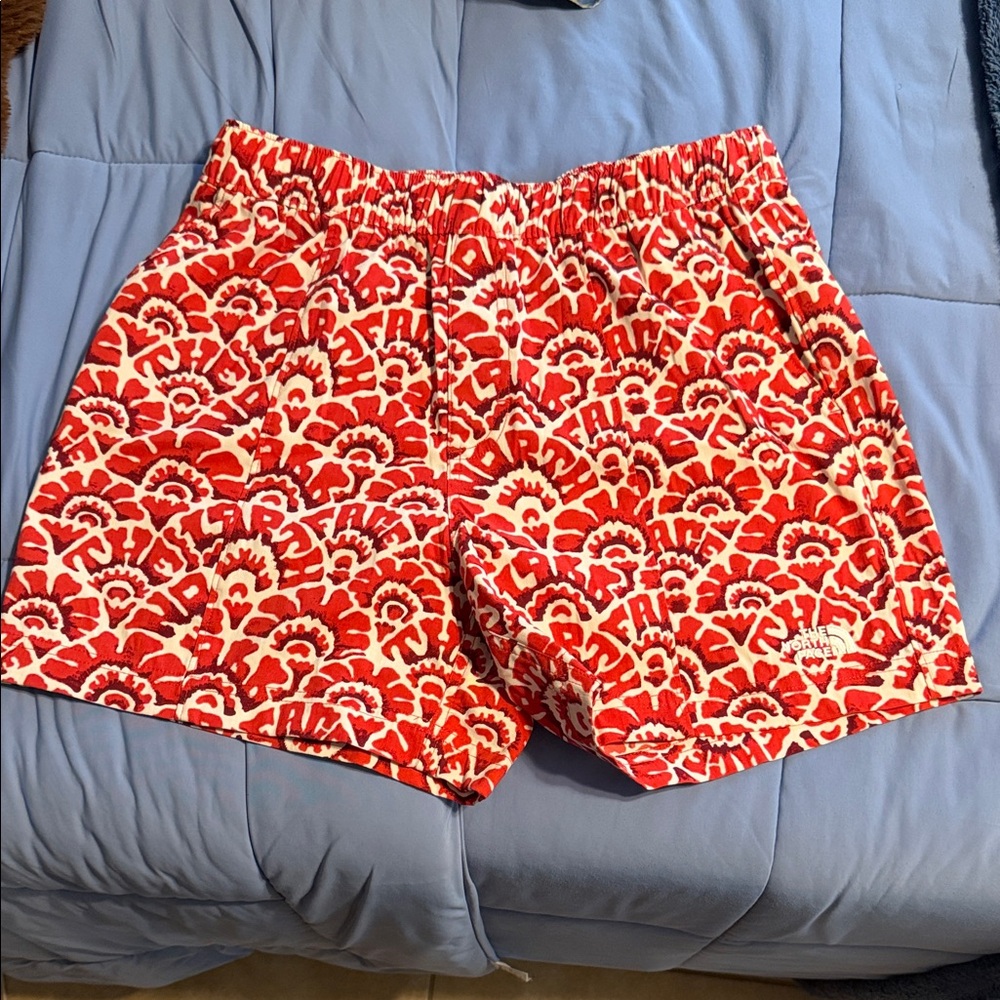 The north face bathing suit